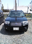 forester.jpg